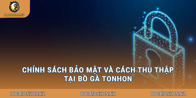 Chính sách bảo mật và cách thu thập tại Bồ Gà Tonhon