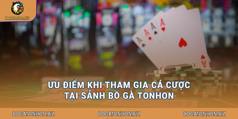 Ưu điểm khi tham gia cá cược tại sảnh Bồ Gà Tonhon