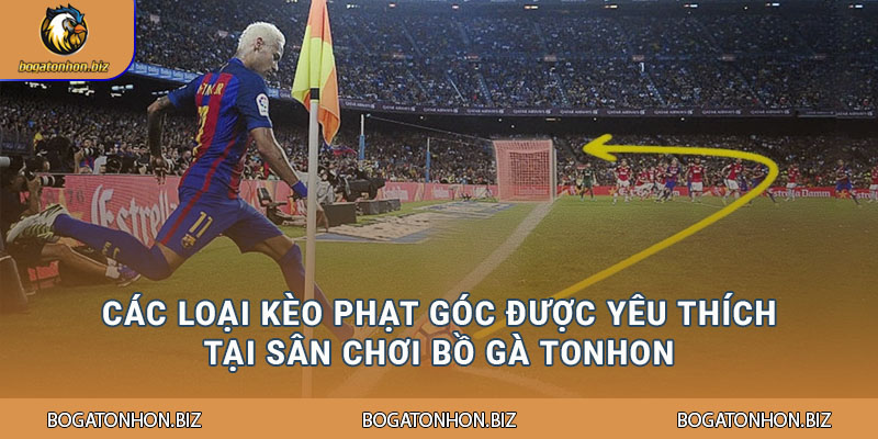 Các loại kèo phạt góc được yêu thích tại sân chơi Bồ Gà Tonhon