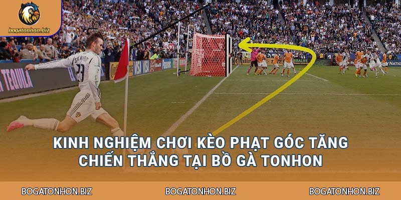 Kinh nghiệm chơi kèo phạt góc tăng chiến thắng tại Bồ Gà Tonhon