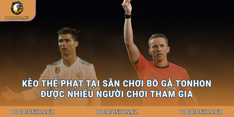 Kèo thẻ phạt tại sân chơi Bồ Gà Tonhon được nhiều người chơi tham gia