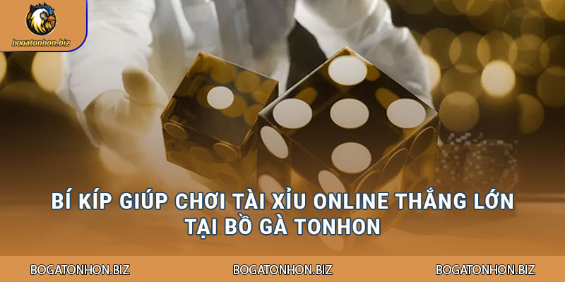 Bí kíp giúp chơi tài xỉu online thắng lớn tại Bồ Gà Tonhon