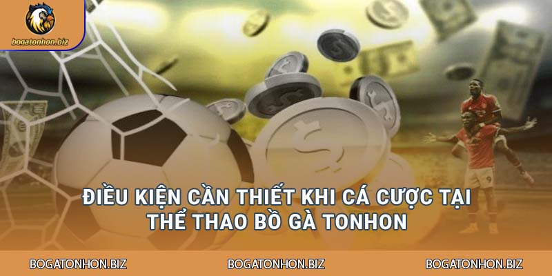 Điều kiện cần thiết khi cá cược tại Thể thao Bồ gà Tonhon