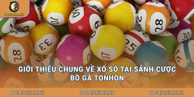 Giới thiệu chung về xổ số tại sảnh cược Bồ Gà Tonhon