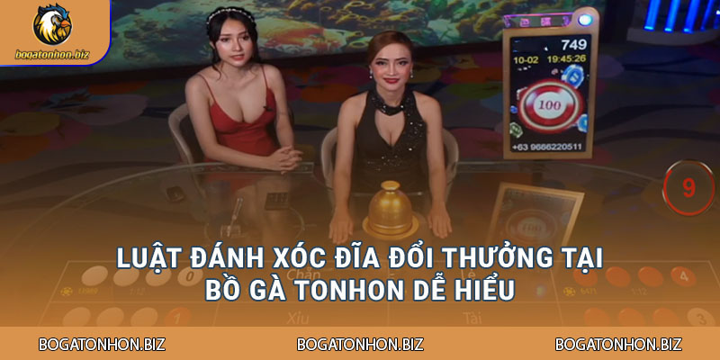 Luật đánh xóc đĩa đổi thưởng tại Bồ Gà Tonhon dễ hiểu